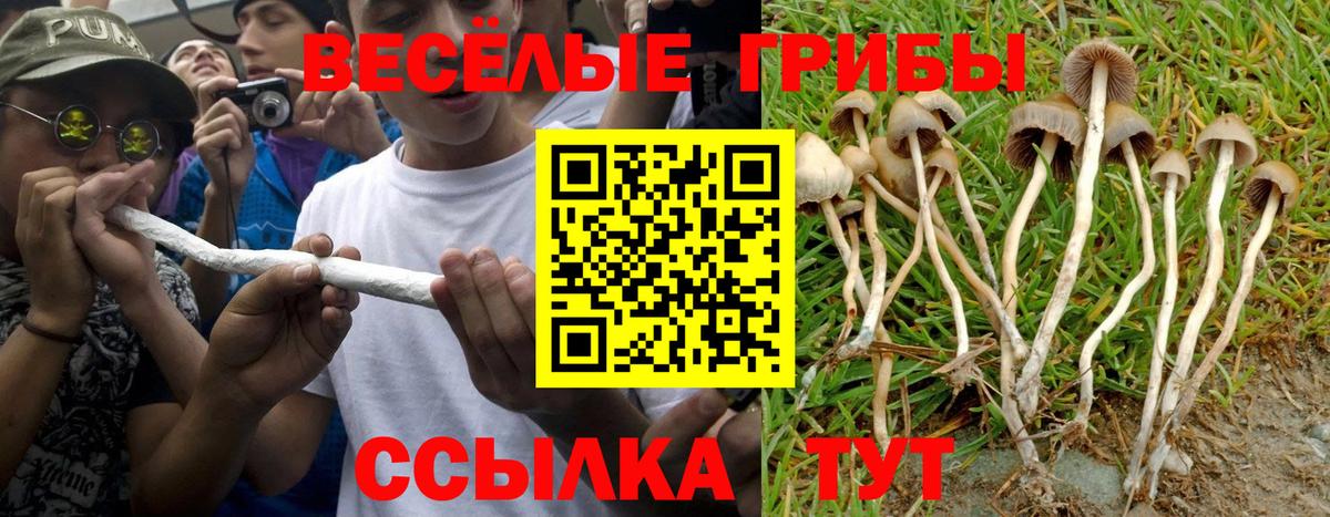 Псилоцибиновые грибы мухоморы  Вход с VPN  Шадринск  Псилоцибиновые грибы Cubensis 